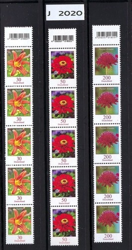 Bund blumen - , (2020)