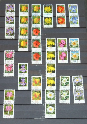 Brd bund blumen lot - bund, *