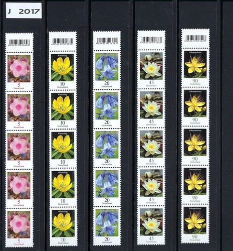 Bund blumen jahr - blumen-,