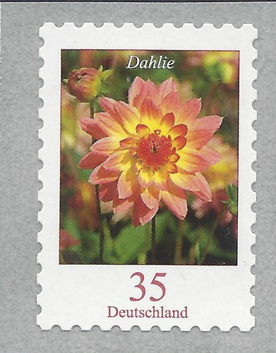 Dahlie postfrisch - 35,