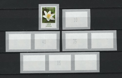 2019 bund 3484 - sk, mit
