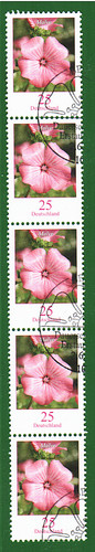 Bund blumen rollenmarken - blumen,