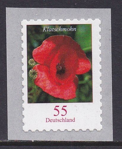 Deutschland blumen - deutschland,