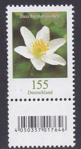 Deutschland blumen - deutschland,