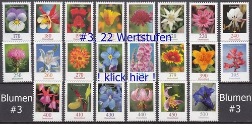 Blumen bund dauerserie - blumen,